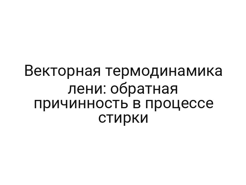 Векторная термодинамика лени: обратная причинность в процессе стирки